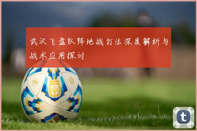 武汉飞盘队阵地战打法深度解析与战术应用探讨